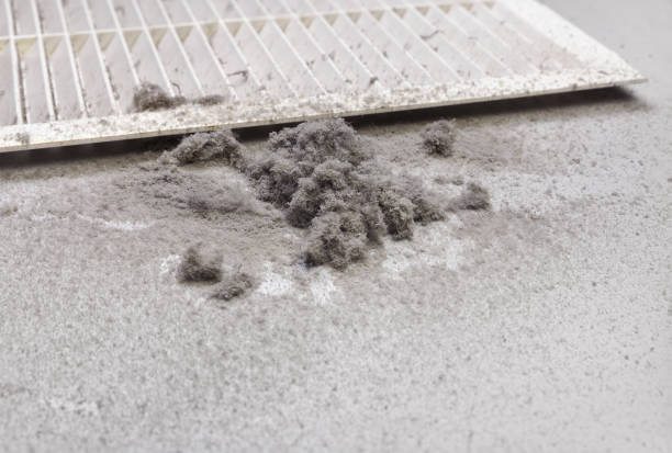 Best Ventilation Cleaning Services  in Carmi, IL