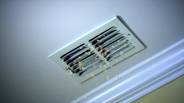 Affordable HVAC Duct Cleaning in Carmi, IL